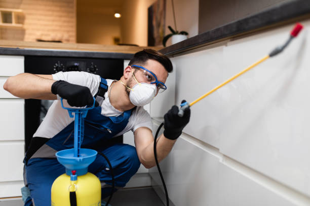 Best Pest Removal Services  in Bradford, TN
