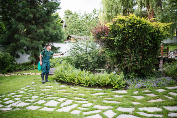 Reliable Bradford, TN Pest Control Solutions