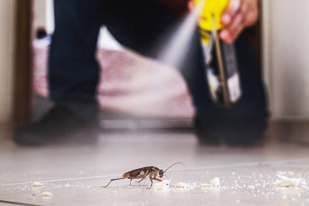 Flea Control Services in Bradford, TN
